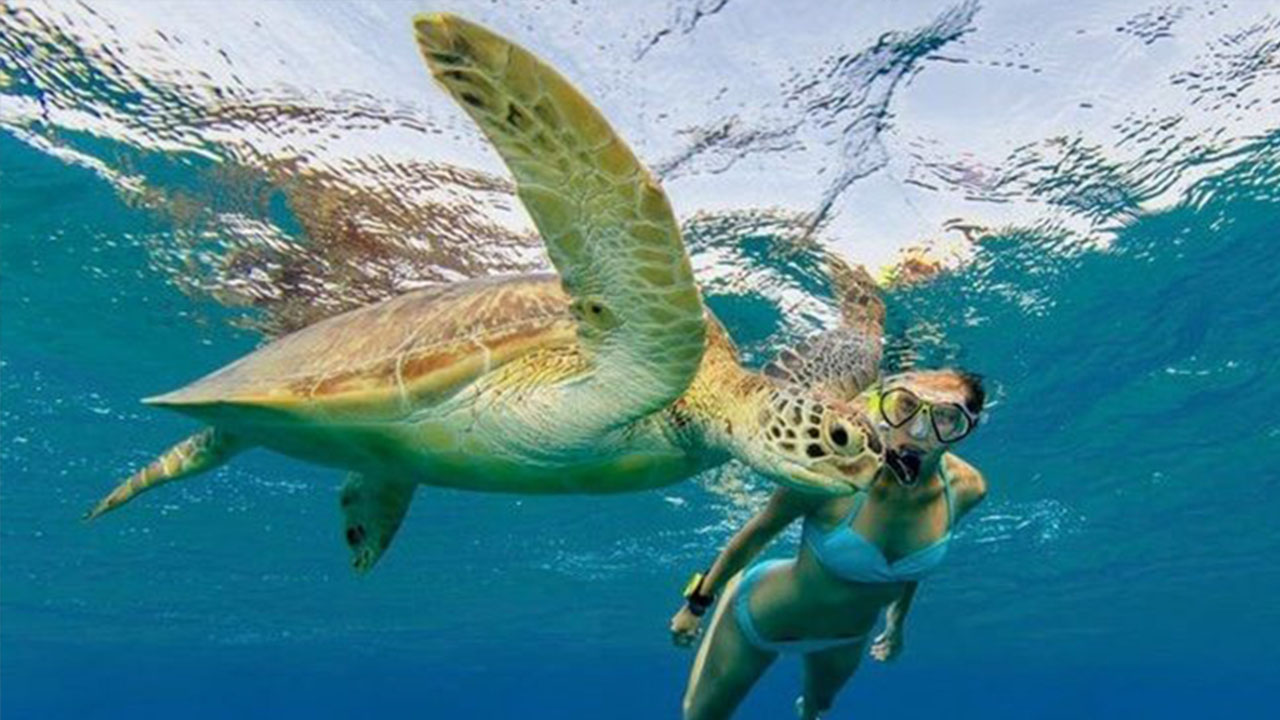 Riviera Maya Sailing Elite