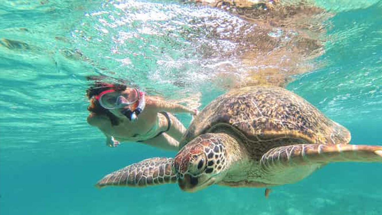 Riviera Maya Sailing Elite