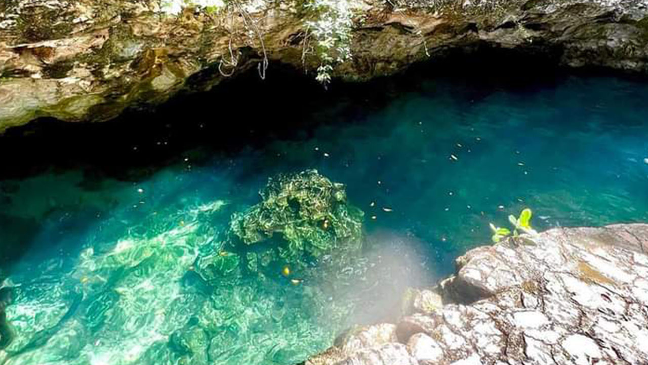 Riviera Maya Sailing Elite